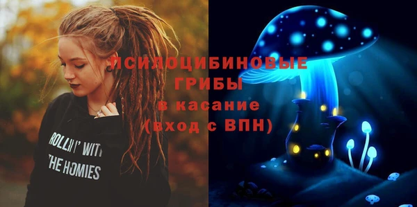 прущие крисы Алексин