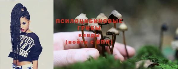 прущие крисы Алзамай