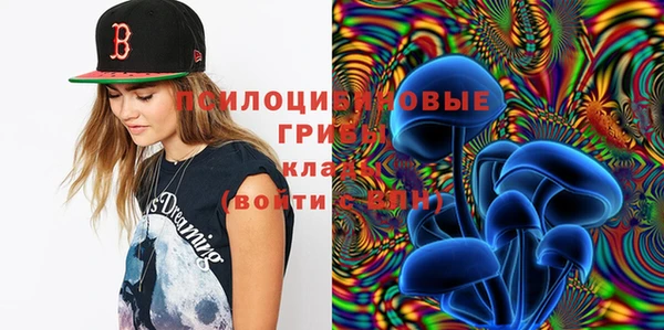 прущие крисы Алзамай