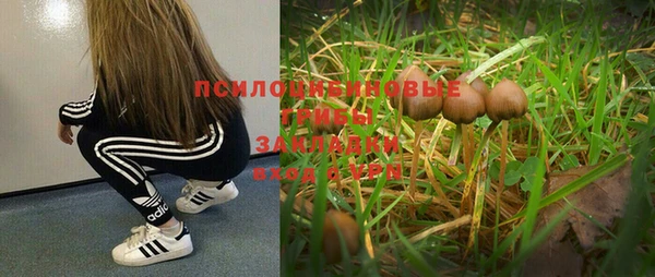 мет Сафоново