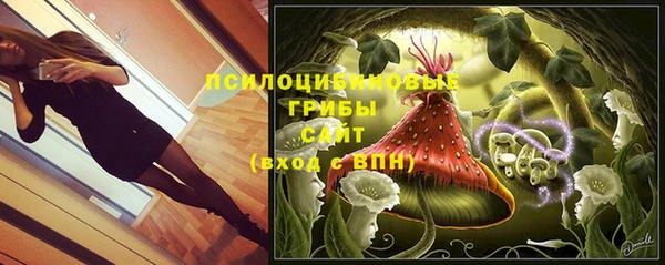 прущие крисы Алексин